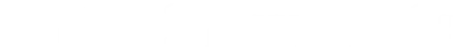 dragonerse neo